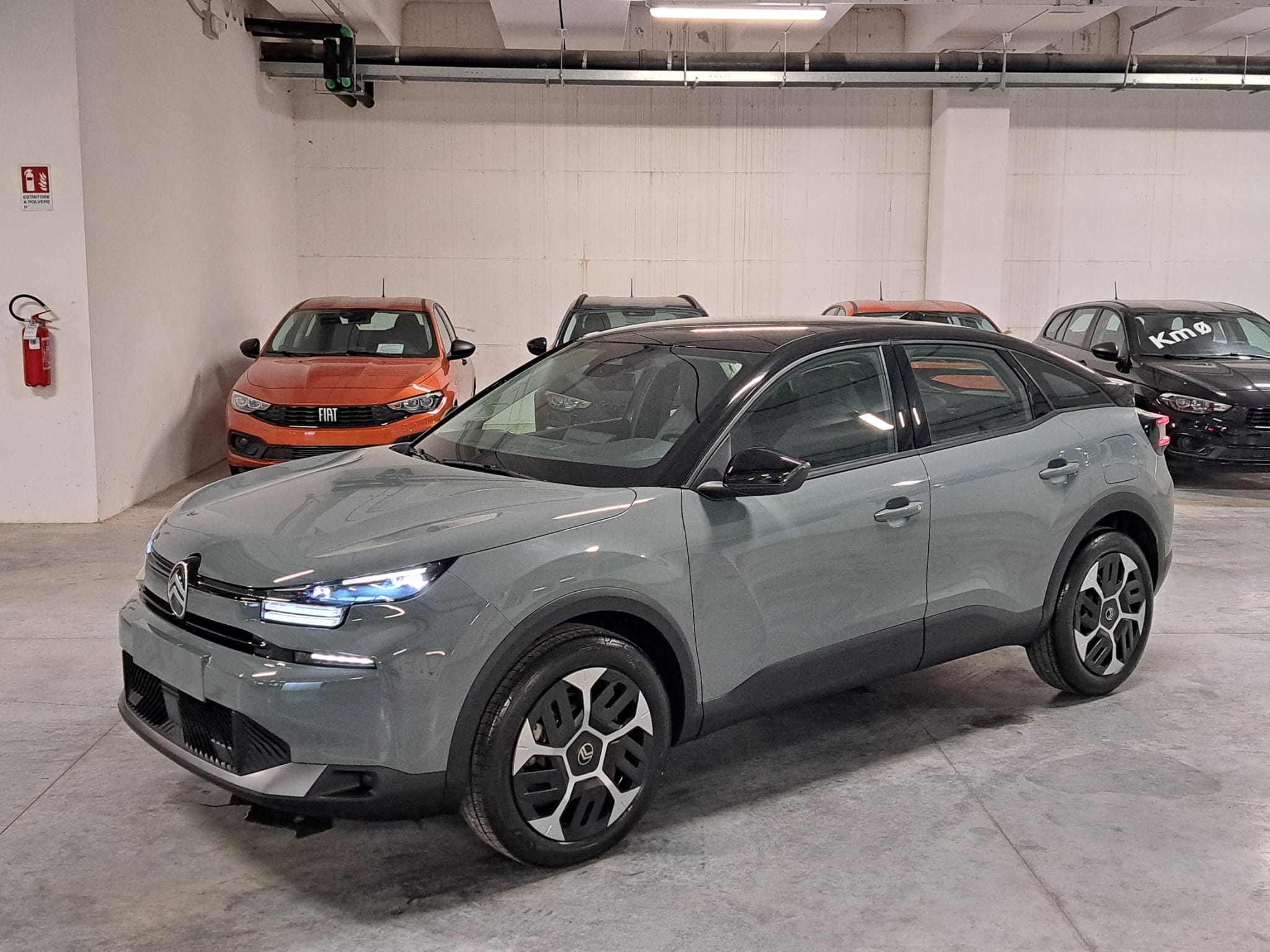 Citroen C4 1200 PureTech 130CV Plus EAT8 MY’25 (GZ108WH)