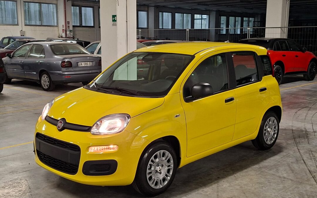 Fiat New Panda Pandina 1000 FireFly Hybrid 65CV Icon 5 Porte (HD389PM)