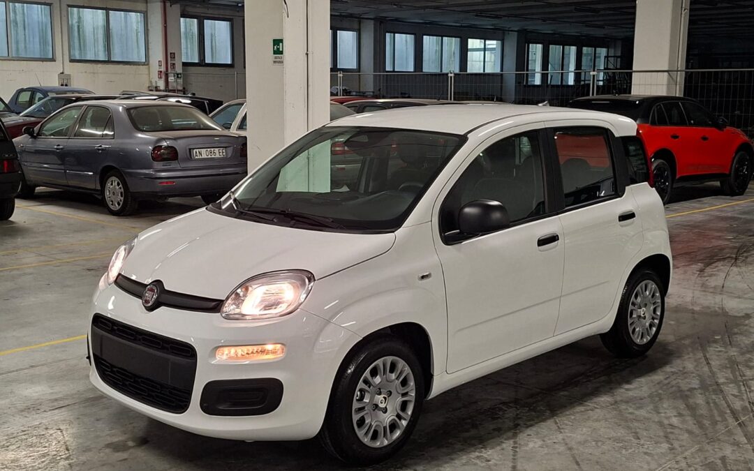 Fiat New Panda Pandina 1000 FireFly Hybrid 65CV Icon 5 Porte (HD100PM)